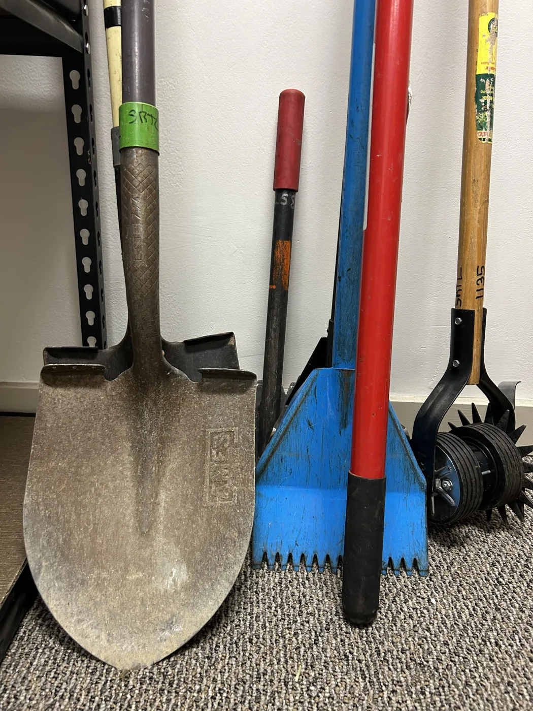 Shovels and long-handled tools ready for yard work